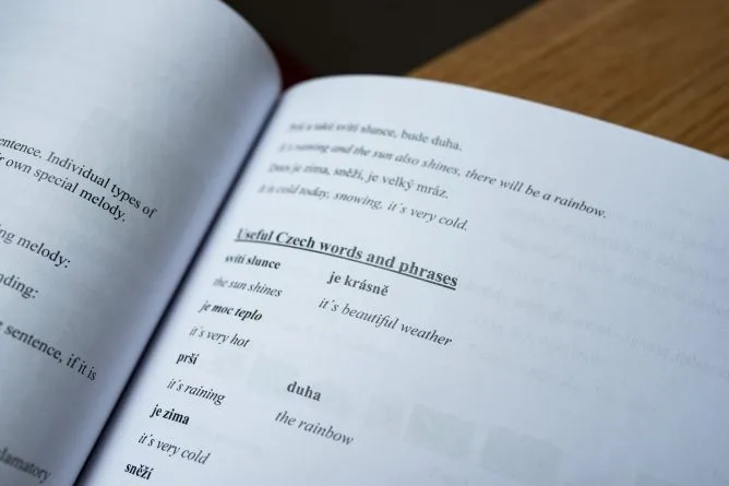 Konzultace - Studijní a vědecká knihovna v Hradci Králové