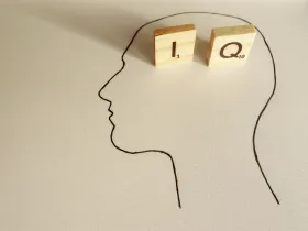 IQ testování