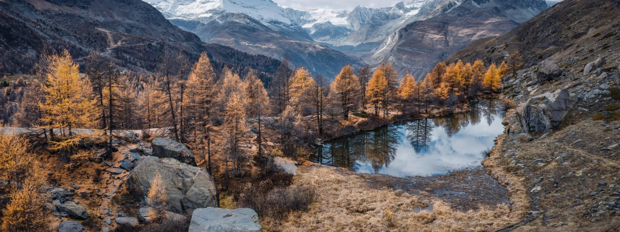 Czech Nature Photo