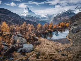 CZECH NATURE PHOTO